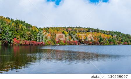 秋の白駒池 130539097