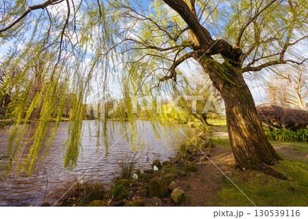Castlemaine Botanical Gardens in Castlemaine Australia 130539116