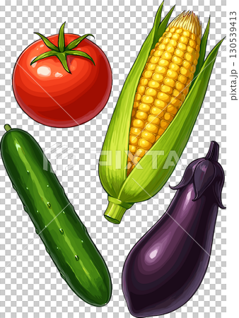 いろんな夏野菜のイラスト 130539413