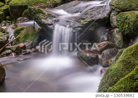 豪快に流れ落ちる谷　屋久島国立公園(冬 130539661