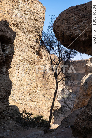 Sesriem canyon in Namibia 130540904