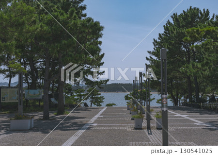 八景島駅から海の公園へ続く並木道と青空の海景色 130541025