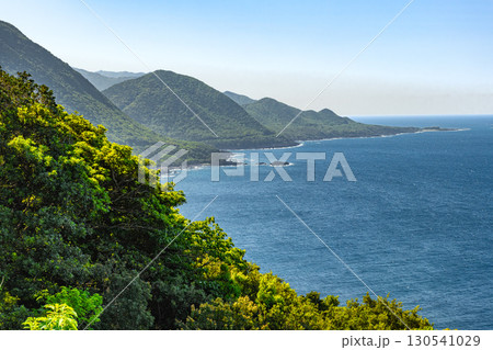屋久島世界自然遺産の春景色、新録が映える西部林道地域 130541029