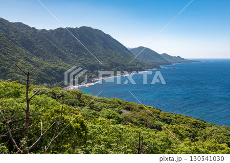 屋久島世界自然遺産の春景色、新録が映える西部林道地域 130541030