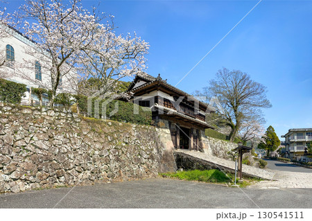 佐伯城 三の丸櫓門と満開の桜 佐伯城 三の丸櫓門と満開の桜 130541511
