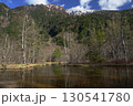 快晴の上高地で残雪の穂高蓮連峰が見える田代湿原の風景 130541780