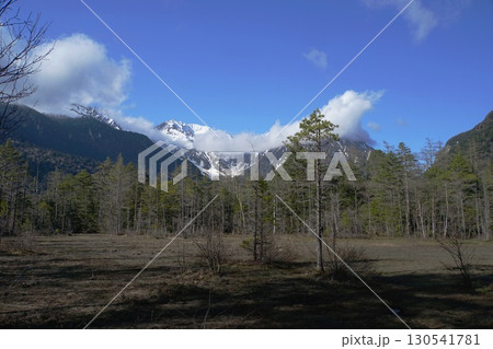 快晴の上高地で残雪の穂高蓮連峰が見える田代湿原の風景 快晴の上高地で残雪の穂高蓮連峰が見える田代湿原の風景 130541781
