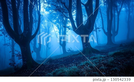 Misty morning sunlight filters through the green leaves of the autumn forest, illuminating a path through the trees 130542339