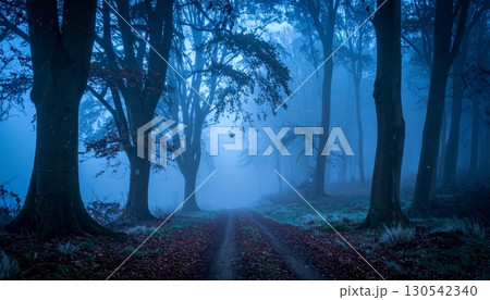 Misty morning sunlight filters through the green leaves of the autumn forest, illuminating a path through the trees 130542340