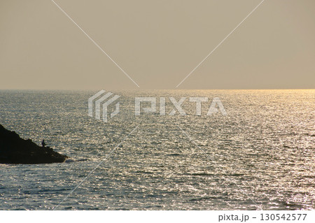 駅ホームからの日本海・青海川駅(新潟県・柏崎市) 駅ホームからの日本海・青海川駅(新潟県・柏崎市) 130542577