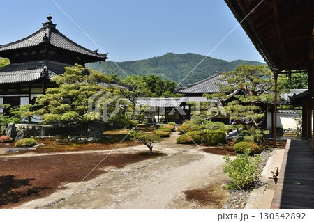 初夏の鹿王院 130542892