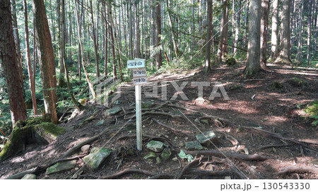 阿寺渓谷 散策路 阿寺渓谷 散策路 130543330
