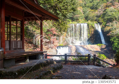 龍門の滝と紅葉 130543571