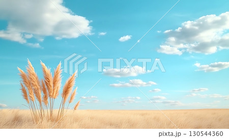 Golden Grass and Blue Sky with Clouds Scenic Landscape in Natural Outdoor Setting 130544360