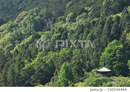 法輪寺遠望 130544464