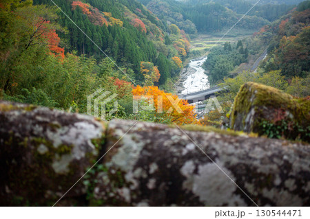 大野川流域の紅葉と岡城址 130544471
