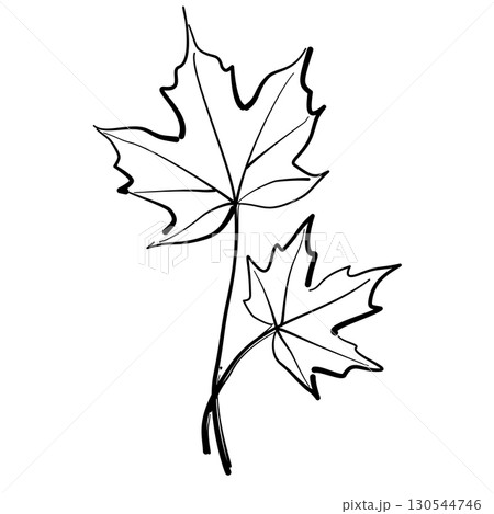 Autumn Leaf Line Art Clipart Hand Drawn Black and White Leaf Outline Illustration Fall Foliage Transparent Background for Stickers Coloring Pages Journals Scrapbooking Craft Printables 130544746