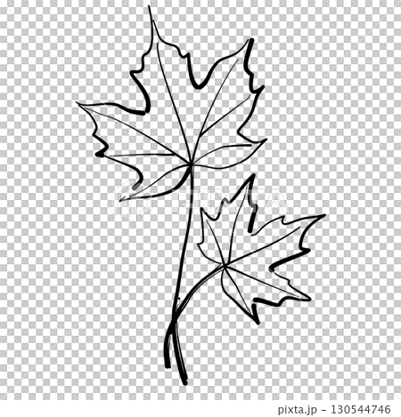 Autumn Leaf Line Art Clipart Hand Drawn Black and White Leaf Outline Illustration Fall Foliage Transparent Background for Stickers Coloring Pages Journals Scrapbooking Craft Printables 130544746