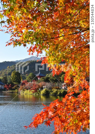 大覚寺の秋 130544834