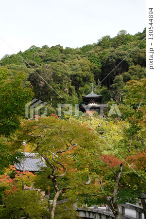 楓が色づき始めた京都の寺院の庭 130544894