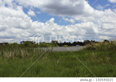 Lake Tyler on Cloudy Day Near Marina in Whitehouse, TX 130545015