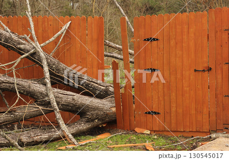 Fence Damaged From Tree Falling During Storm 130545017