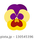 Violet Yellow Pansies Vector, Tricolor Viola Symbol, Minimal Viola Flower, Heartsease Flowers 130545396