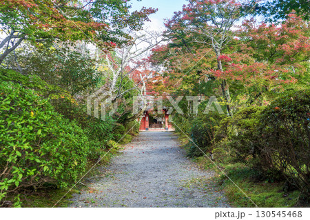 京都鷹峯 常照寺の紅葉 京都鷹峯 常照寺の紅葉 130545468