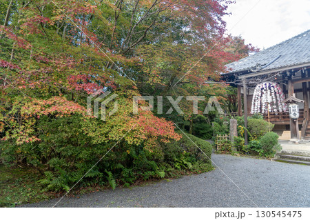 京都鷹峯 常照寺の紅葉 京都鷹峯 常照寺の紅葉 130545475