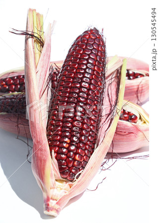 とうもろこし（大和ルージュ） 130545494