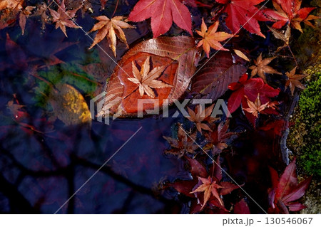 篠栗町明石寺 水に浮かぶ紅葉 篠栗町明石寺 水に浮かぶ紅葉 130546067