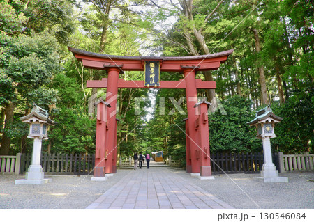 彌彦神社・一の鳥居(新潟県・弥彦村) 彌彦神社・一の鳥居(新潟県・弥彦村) 130546084
