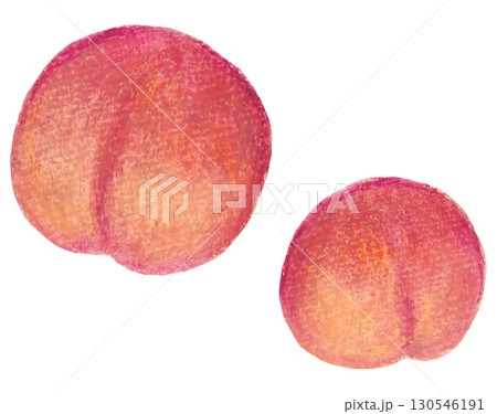 スモモのイラスト オイルパステル画 スモモのイラスト オイルパステル画 130546191