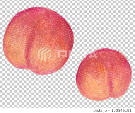 スモモのイラスト オイルパステル画 スモモのイラスト オイルパステル画 130546191