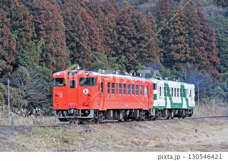 烏山線　大金－鴻野山　JR東日本　キハ40系　キハ40-1004（宇都宮） 130546421