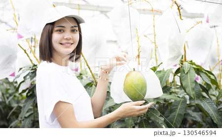 マンゴーと可愛い女性 マンゴーと可愛い女性 130546594