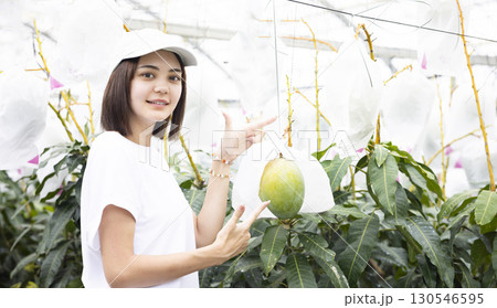 マンゴーと可愛い女性 マンゴーと可愛い女性 130546595
