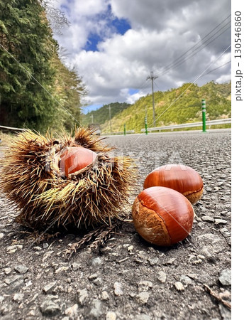 道路に転がる栗と青空の風景 130546860