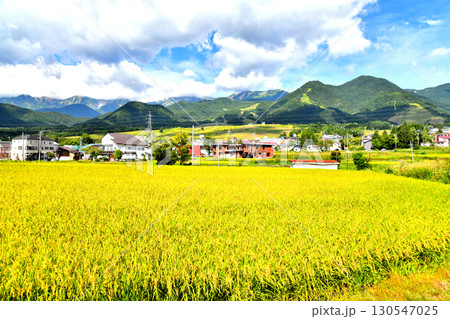 白馬つがいけマウンテンリゾート(栂池高原スキー場)周辺を望む(長野県小谷村)【2025.9】 白馬つがいけマウンテンリゾート(栂池高原スキー場)周辺を望む(長野県小谷村)【2025.9】 130547025