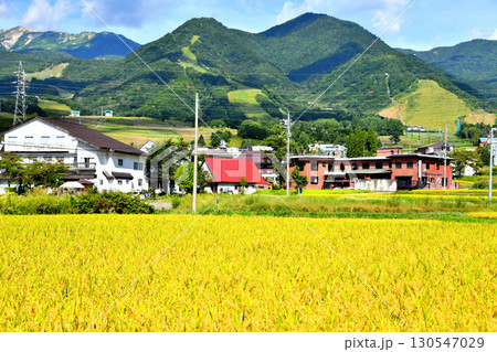 白馬つがいけマウンテンリゾート(栂池高原スキー場)周辺を望む(長野県小谷村)【2025.9】 130547029