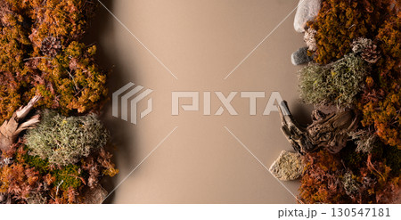 Abstract north nature scene with a composition of lichen, moss, and old snags on a beige background. 130547181