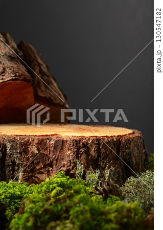 Composition with natural wood, moss and lichen for advertising eco products. 130547182