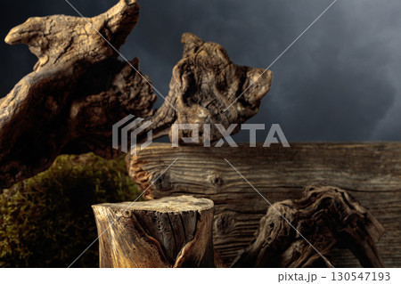 Composition with natural wooden snags and dry stump for advertising eco products. Composition with natural wooden snags and dry stump for advertising eco products. 130547193