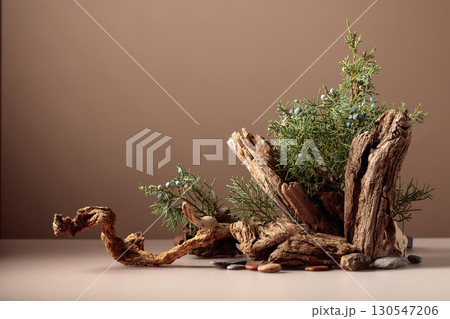 Nature scene with a composition of juniper and dry snags. 130547206