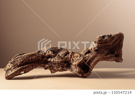 Old dry wooden snag on a beige background. 130547214