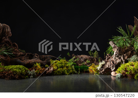 Northern natural composition with lichen, moss, pine branches and driftwood. 130547220
