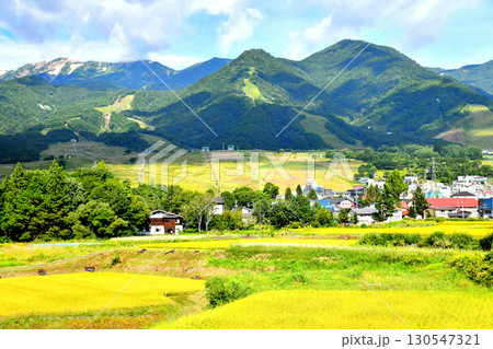 白馬つがいけマウンテンリゾート(栂池高原スキー場)周辺を望む(長野県小谷村)【2025.9】 130547321