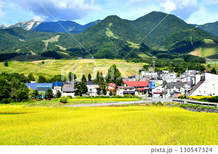 白馬つがいけマウンテンリゾート(栂池高原スキー場)周辺を望む(長野県小谷村)【2025.9】 130547324