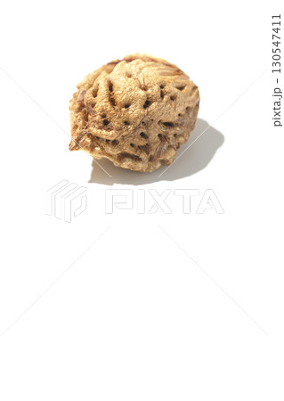 桃の種を白背景で撮影 130547411