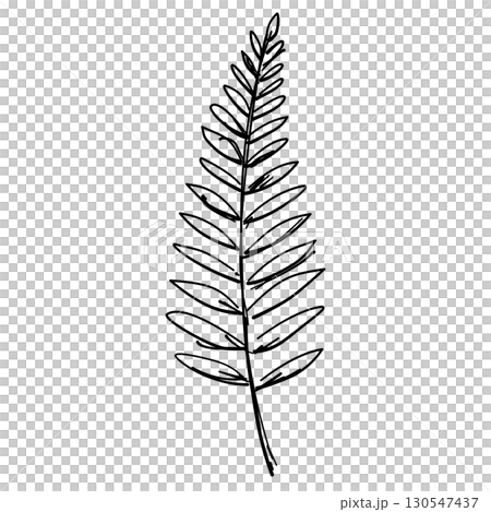 Fall single fern straight Line Art Clipart Hand Drawn Black and White Leaf Outline Illustration Fall Foliage Transparent Background for Stickers Journals Scrapbooking Craft printable 130547437